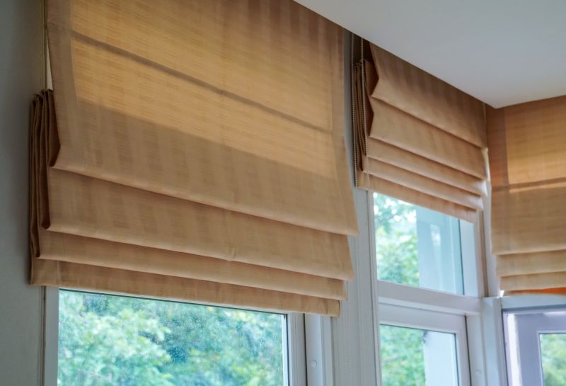 Roman Shade Cleaning in Madison, WI