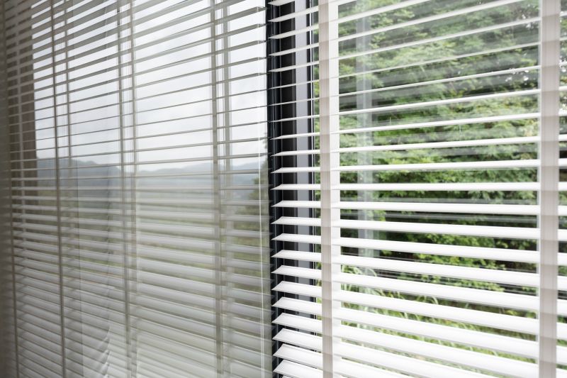 Roman Shade Cleaning in Billings, MT