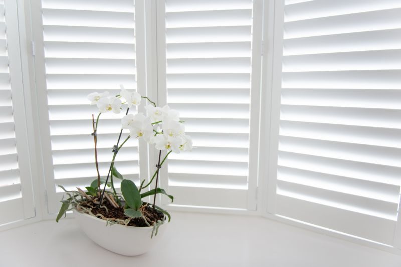 Window Shutter Installation in Overland Park, KS